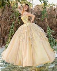Modelo: D85-585