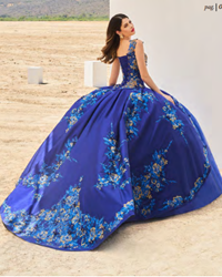Modelo: D60-560 ESPALDA
